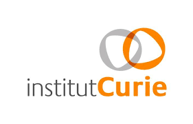 Logo Institut Curie