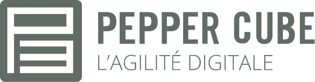 Logo de l'agence digitale Pepper Cube